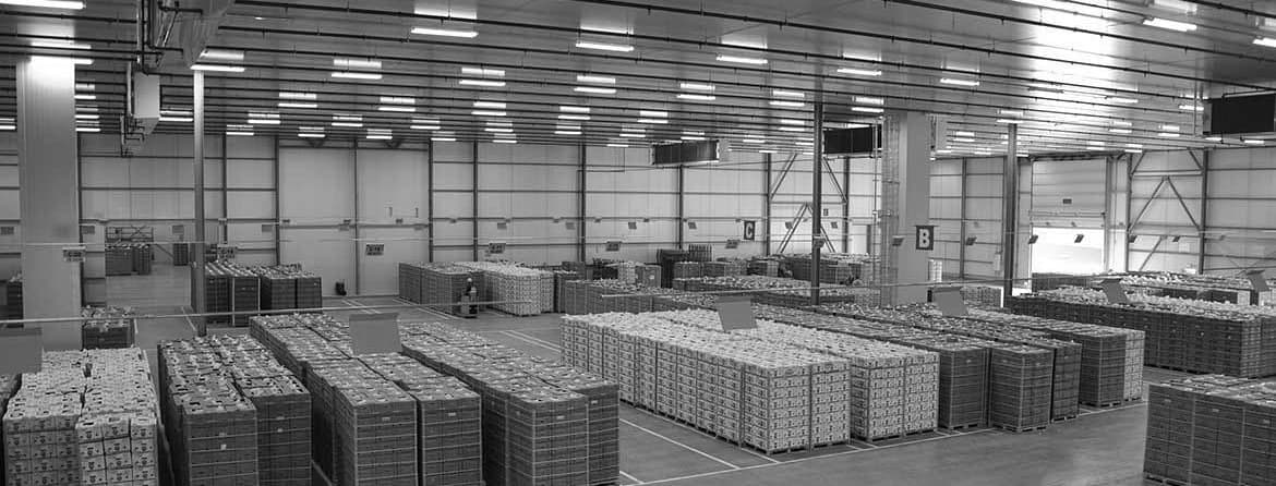 Pallets of produce in a FreshFleet cold-storage warehouse